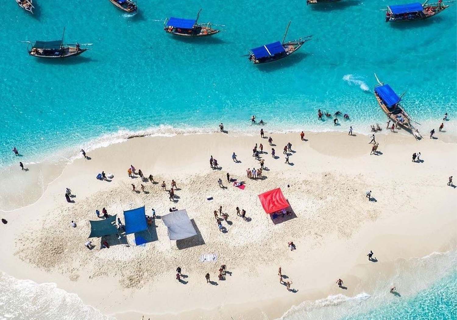 Safari Blue Adventure