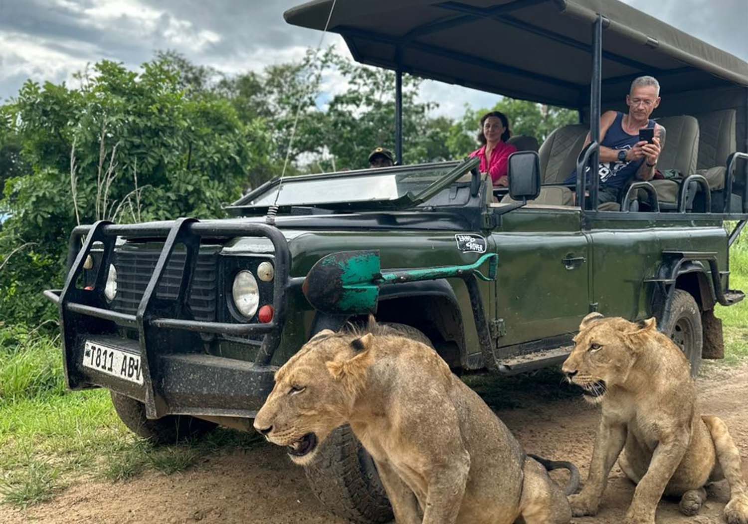 Mikumi National Park Safari