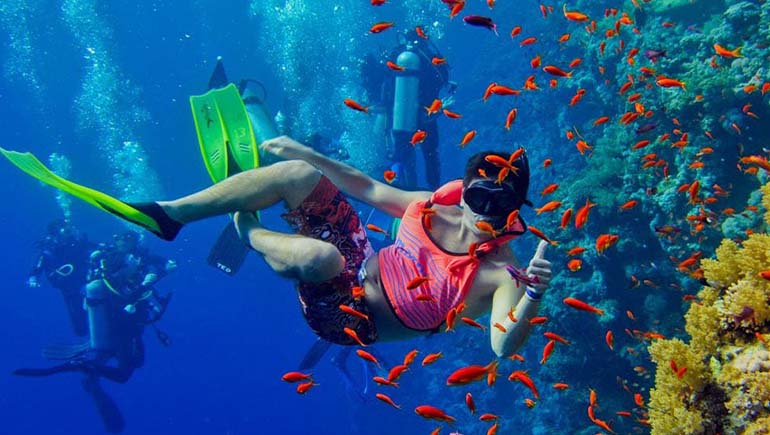 Mnemba Atoll Snorkeling
